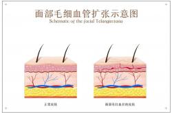 泰安市妇幼保健院妇科主任和小兵参编《妇产科手术规范教程》教材