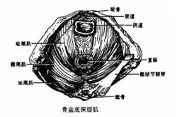 威尼斯v7-株洲现代女子医院_全力呵护女性健康