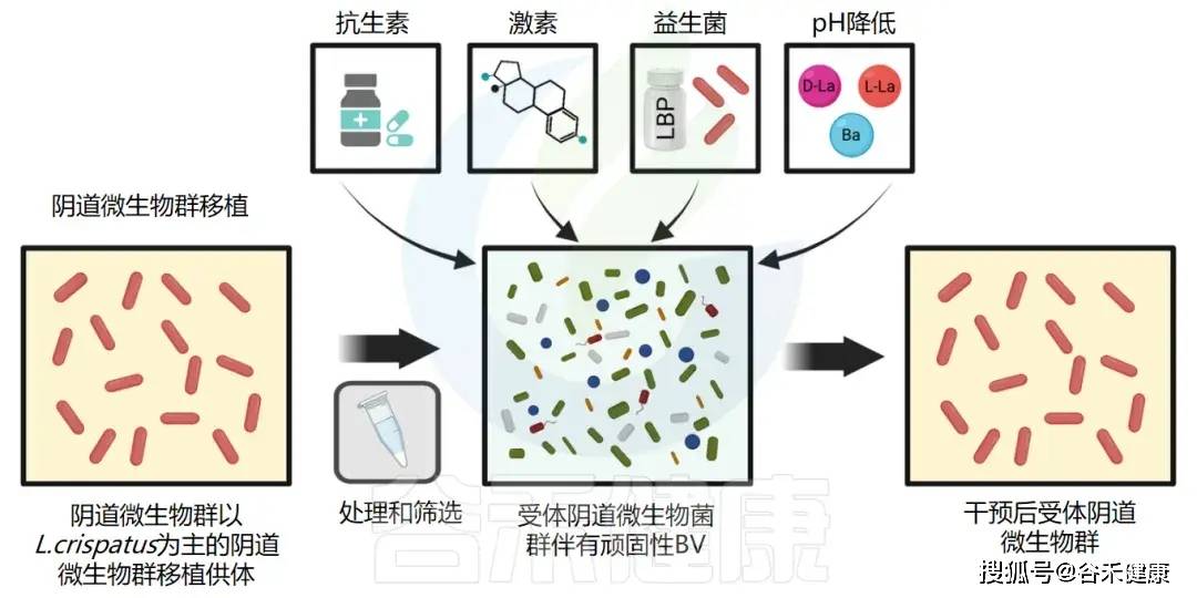 易彩票app官方免费下载安装-怎样抗衰老美容养颜？四大好用方法避坑害处风险