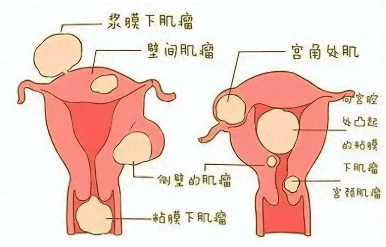 九卅娱乐十年信誉玩家稳定版-同芙：美容养生业的晋升与福利革命