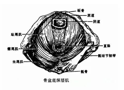 威尼斯v7-株洲现代女子医院_全力呵护女性健康