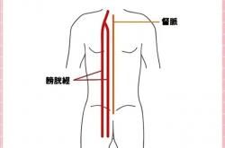 悉尼时时彩-2024口服美容市场趋势论坛|最新演讲嘉宾、议题amp;大会亮点来了，更多精彩内容！