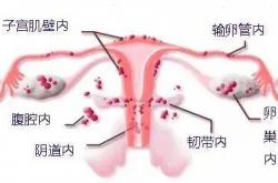 106cc彩票软件app安卓下载-保健品不是药，保健品背后的健康智慧