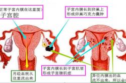 杏彩平台登陆线路-儿童保健品受追捧 医生提醒：做不到均衡饮食才补充营养素