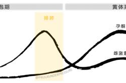 7070彩票首页-女子经常便秘竟是子宫肌瘤作怪，医生“无痕”手术成功切瘤