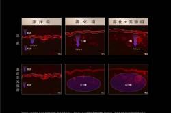 红星体育app下载-健康科普|这些项目看似生活美容，实际却是医疗美容！非医疗机构开展将重罚！