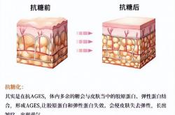 安若希专业院线美容护肤，9月4-6日再登广州美博会