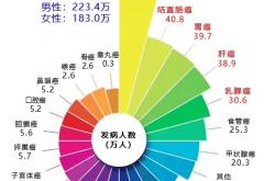 神话棋牌旧版本官方版-均衡膳食：解锁健康饮食的秘密