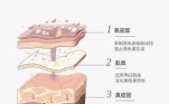 紧致抗皱护肤品有效果吗?抗皱面霜推荐