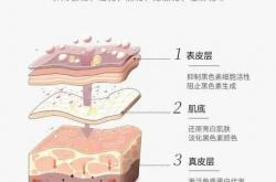 紧致抗皱护肤品有效果吗?抗皱面霜推荐