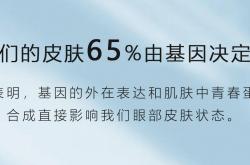 女性生殖免疫及相关疾病高峰论坛暨首届专家圆桌讨论会的通知