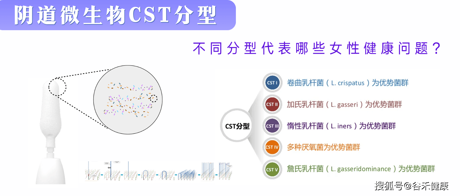 盈盛现金彩票游戏-强健体魄，美容养颜，共筑和谐生态 —— 垆土铁棍山药，自然的健康密钥