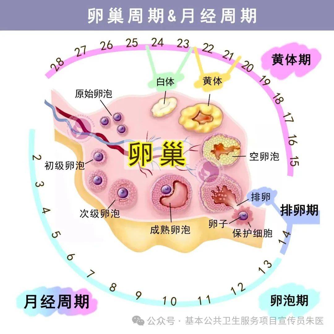 跨境电商物流指南：如何高效转运面部护理套装至香港