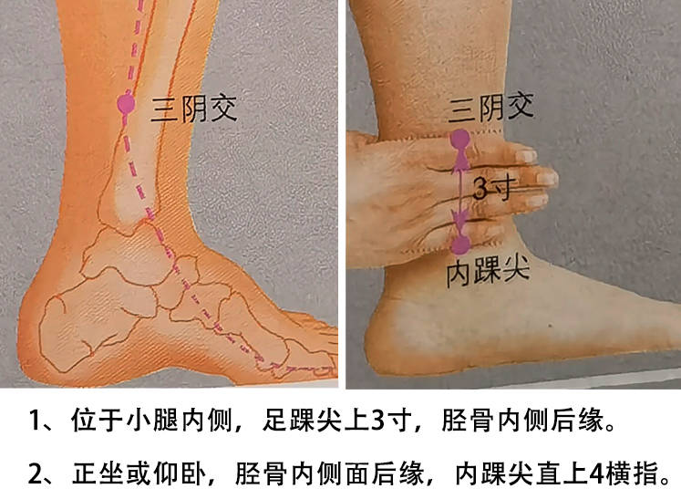 【籽多多】备孕美容新观念：科学养护，美丽与健康并重