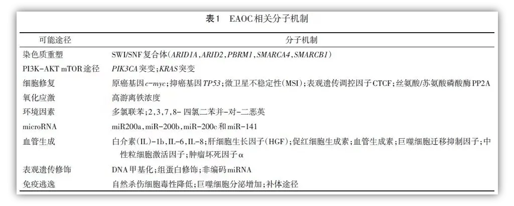 柳岩自曝患子宫肌瘤，术后3个月复查