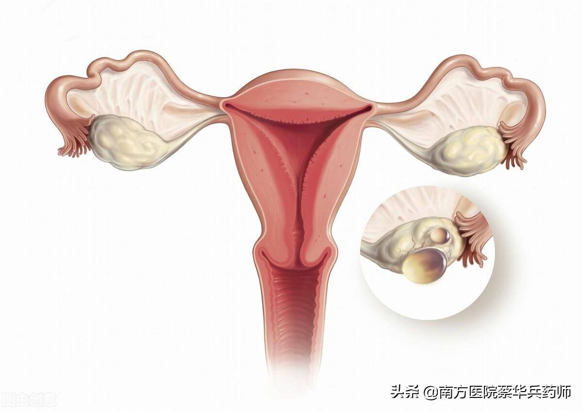 ​女性私处怎么护理？你的完美密友——Intima茵缇玛系列护理液