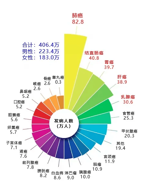 神话棋牌旧版本官方版-均衡膳食：解锁健康饮食的秘密