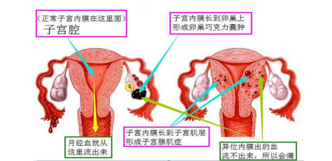 杏彩平台登陆线路-儿童保健品受追捧 医生提醒：做不到均衡饮食才补充营养素