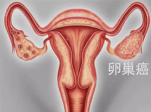 桂林市市场监管局发布消费提示：科学理性选购化妆品